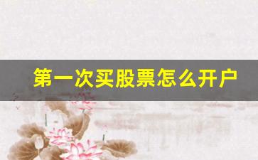 第一次买股票怎么开户支付宝(第一次买股票怎么开户支付宝呢)_https://www.hangfeite.com_科创板_第1张