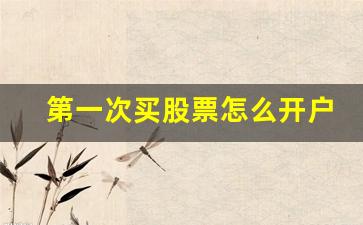 第一次买股票怎么开户流程(第一次购买股票流程)_https://www.hangfeite.com_深交所_第1张