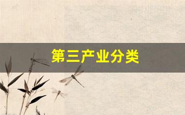 第三产业分类(第三产业分类占比)_https://www.luoxuangg888.com_深交所_第1张