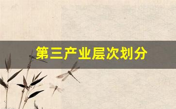 第三产业层次划分(第三产业层次划分是什么)_https://www.nalian8.com_北交所_第1张
