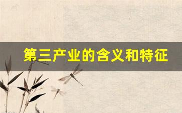 第三产业的含义和特征(第三产业产值含义)_https://www.jumanxin.com_创业板_第1张