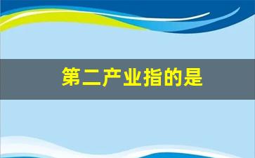 第二产业指的是(第二产业指的是哪个产业)_https://www.tuogunzhijia.com_恒指期货_第1张