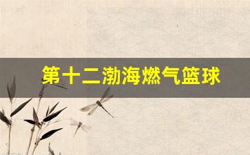 第九届渤海燃气杯-第十二渤海燃气篮球