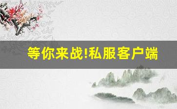 等你来战!私服客户端全新版本拥有全新玩法!