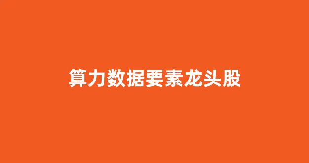 算力数据要素龙头股(算力指标)_https://www.brunchezvous.com_自由行_第1张