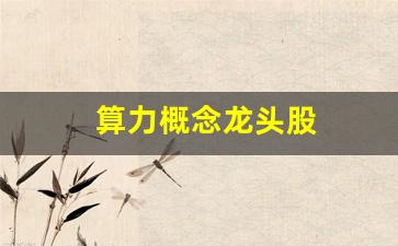 算力概念龙头股(算力概念龙头股票代码查询)_https://www.hhem8.com_上交所_第1张