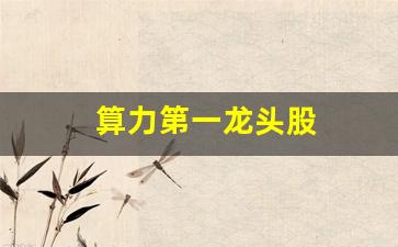 算力第一龙头股(算力第一龙头股中报预增27521%)_https://www.dongshengweixin.com_科创板_第1张