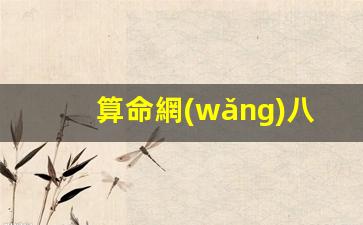 算命網(wǎng)八字(算命網(wǎng)八字大運)