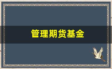 管理期货基金(管理期货基金需要基金从业资格证吗)_https://www.fzdzcxj.com_创业板_第1张