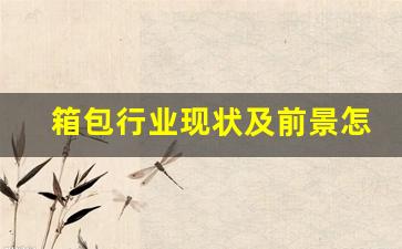 箱包行业现状及前景怎么写(箱包行业市场前景分析)_https://www.hangfeite.com_北交所_第1张