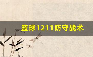 篮球1211战术教学-篮球1211防守战术