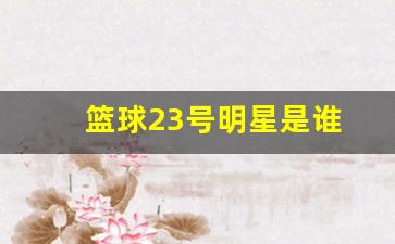 篮球23号明星是谁-篮球明星23号的人有哪些