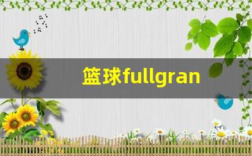 篮球竞技小说推荐-篮球fullgrand