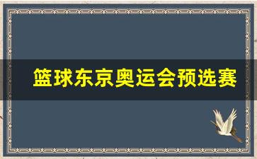 东京奥运会篮球比赛流程-篮球东京奥运会预选赛资格