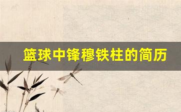 篮球中锋穆铁柱的简历-穆铁柱篮球的精彩视频