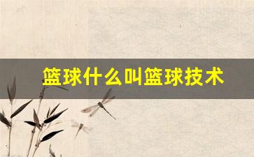 篮球技术通常分为什么技术和什么技术-篮球