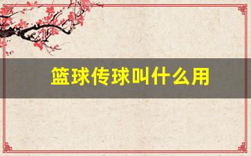 篮球传球叫什么用-篮球传球的技术动作