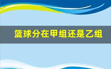 篮球赛怎么分甲乙组-篮球分在甲组还是乙组