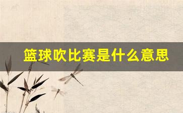 打篮球吹球是什么意思-篮球吹比赛是什么意思