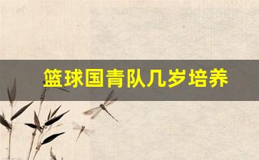 篮球国青队有工资吗-篮球国青队几岁培养