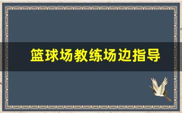 篮球教练比赛时场外指导-篮球场教练场边指