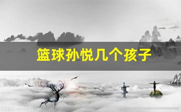 篮球孙悦几个孩子-篮球孙悦几个孩子是谁的