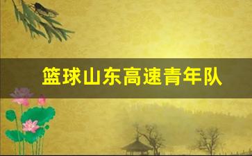 山东高速男篮最新教练-篮球山东高速青年队