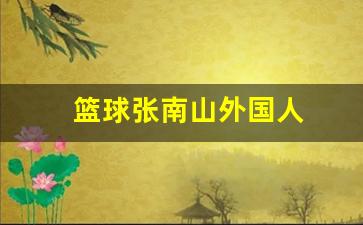 篮球张南山外国人-篮球张南山外国人是谁