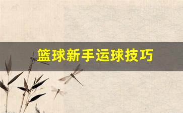 篮球新手运球技巧视频教学-篮球新手运球技巧