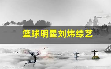 篮球明星刘炜综艺-刘炜篮球个人资料