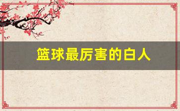 打球最厉害的白人-篮球最厉害的白人