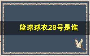 篮球服28号有谁穿过-篮球球衣28号是谁