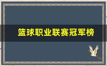 篮球职业联赛冠军榜最新-篮球职业联赛冠军榜