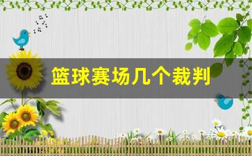 篮球赛场几个裁判组成-篮球赛场几个裁判