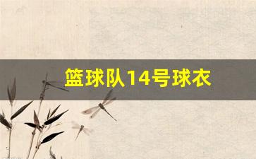 篮球队14号球衣-篮球衣14号是谁的