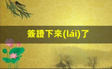 簽證下來(lái)了怎么查詢(xún)(簽證下來(lái)了怎么查詢(xún)真假)