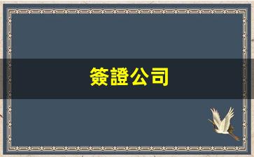 簽證公司(簽證公司證明模板)
