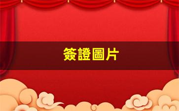 簽證圖片(韓國簽證圖片)