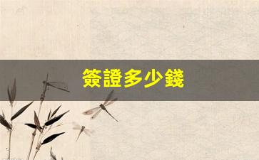 簽證多少錢(簽證多少錢能辦下來)