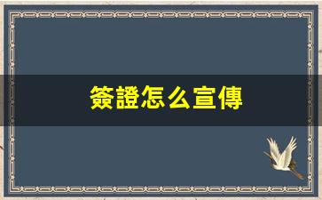 簽證怎么宣傳(簽證怎么辦理)