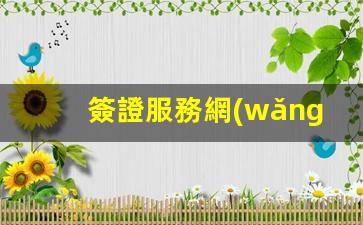 簽證服務網(wǎng)(簽證服務網(wǎng)站)