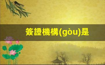 簽證機構(gòu)是什么單位(簽證中心歸誰管)