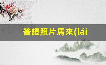 簽證照片馬來(lái)西亞(馬來(lái)西亞簽證照片嚴(yán)格)