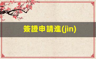 簽證申請進(jìn)度輕松查詢，詳細(xì)步驟與關(guān)鍵環(huán)節(jié)全解析
