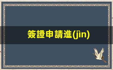 簽證申請進(jìn)度查詢網(wǎng)站官網(wǎng)(簽證申請進(jìn)度查詢網(wǎng)站官網(wǎng)下載)