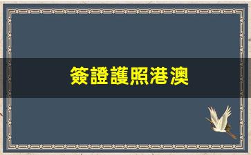 簽證護照港澳(簽證護照港澳通行證)