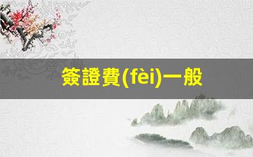 簽證費(fèi)一般多少錢(qián)人民幣(簽證收費(fèi)標(biāo)準(zhǔn)一覽表)