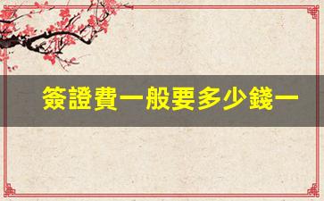 簽證費一般要多少錢一個月(簽證費一般要多少錢一個月呢)