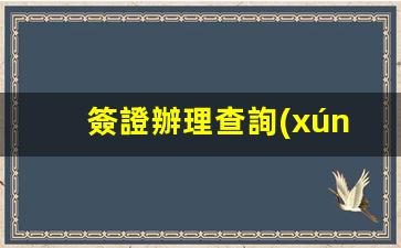 簽證辦理查詢(xún)(簽證辦理查詢(xún)網(wǎng)站是什么)