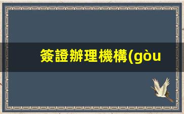 簽證辦理機構(gòu)必備資質(zhì)證件解析，合規(guī)辦理，安心服務(wù)